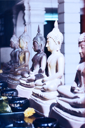 Meditation