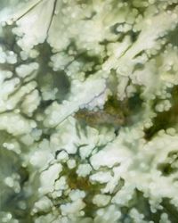 Беспечность