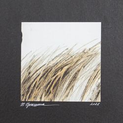 Пигмент (этюд)