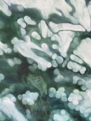 В вечерней тишине