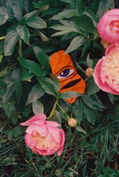 Жанна Татарова На память II. 30х45