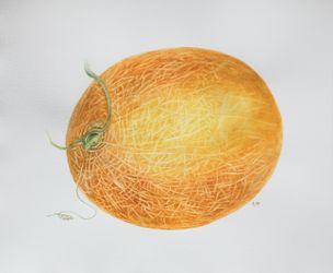 Дыня