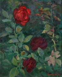 Розы в вечерних лучах