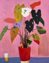 Фикус в красном горшке