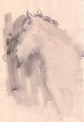 Лошадь в тумане