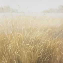 Травы 250928-01