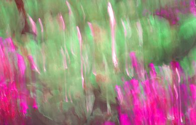 Из серии "Исчезнуть, замолчать, услышать"