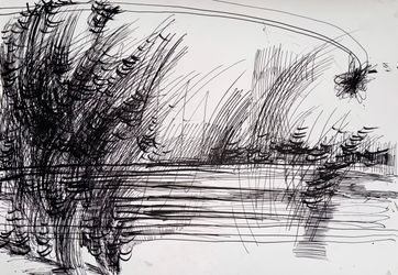 Абсолютное поле