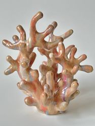 Коралл С|26|1