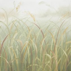 Травы 260201-1. Разные