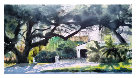 Уютная улица под кроной баньяна