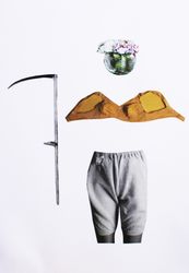 Перелетные птицы