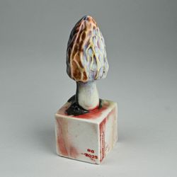 Плодовое тело #9 (красный сморчок)