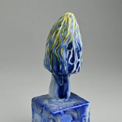 Плодовое тело #14 (синий сморчок)