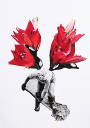 Перелетные птицы