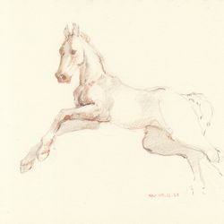 Foal 2