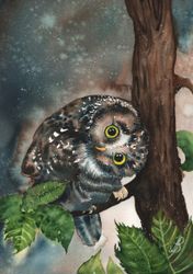 Любопытный сычик