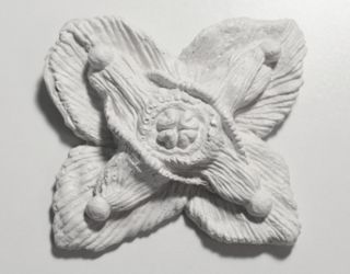 Epimedium (Цветок эльфов)