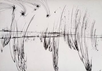 Абсолютное поле 17