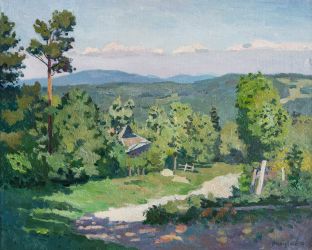 Утро знойного дня