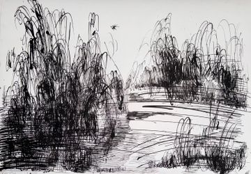 Абсолютное поле 6