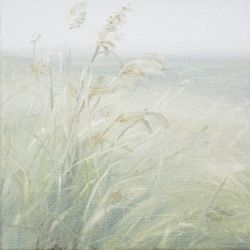 Травы 260204-2. Колоски