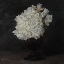 Белая гортензия