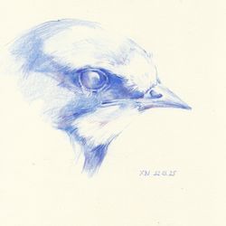 Swallow 2