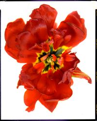 Уничтожитель Мира/Le Depeuplieur. To Samuel Beckett