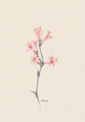 Fleur 06