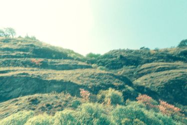 Long Journey #1