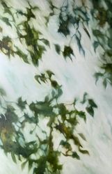 Окруженные сказками дня