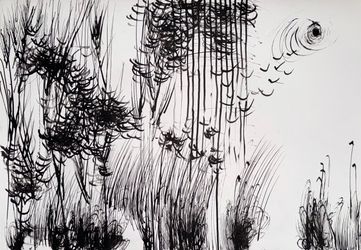 Абсолютное поле 15