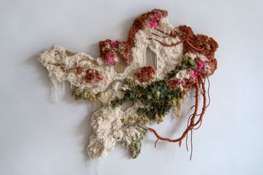 Метасукцессия