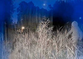 Без названия 2