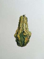 Зеленая тыква