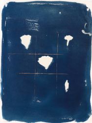 Гвоздика-эустома