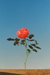 Жанна Татарова На память VII. 30х45