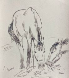 На чужой каравай рот не разевай