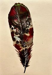 Feathers no. 8