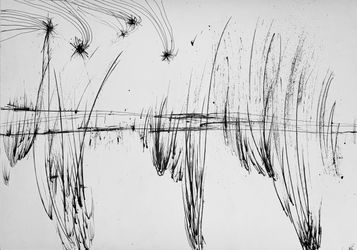 Абсолютное поле 17