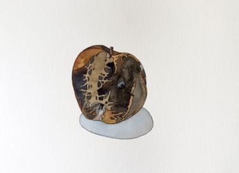 Мертвое яблоко