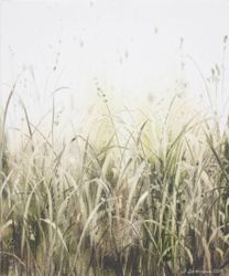 Травы 260127. Пигмент