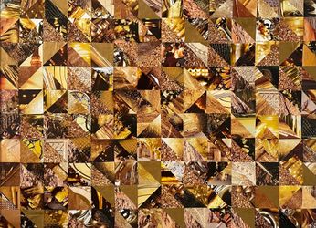 Колонизация Марса