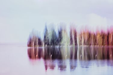 Из серии "Исчезнуть, замолчать, услышать"