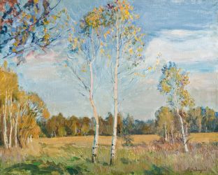 Осень. Молодые берёзки