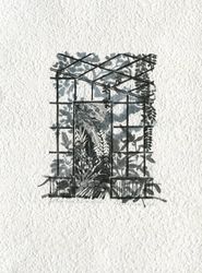 Теплица №2. Состояние серый