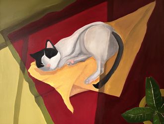Спящий кот
