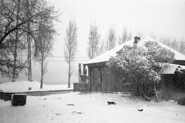 Весенняя метель