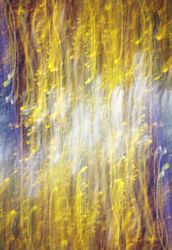 Из серии "Исчезнуть, замолчать, услышать"